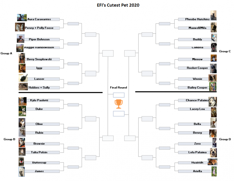 EFI's 1st ever Cutest Pet Contest bracket