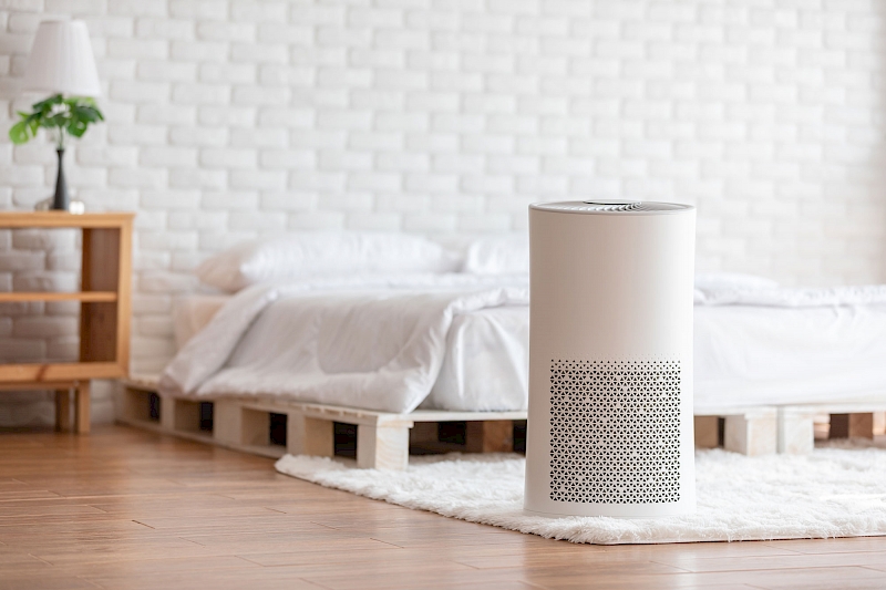 Why You Need An Air Purifier Now