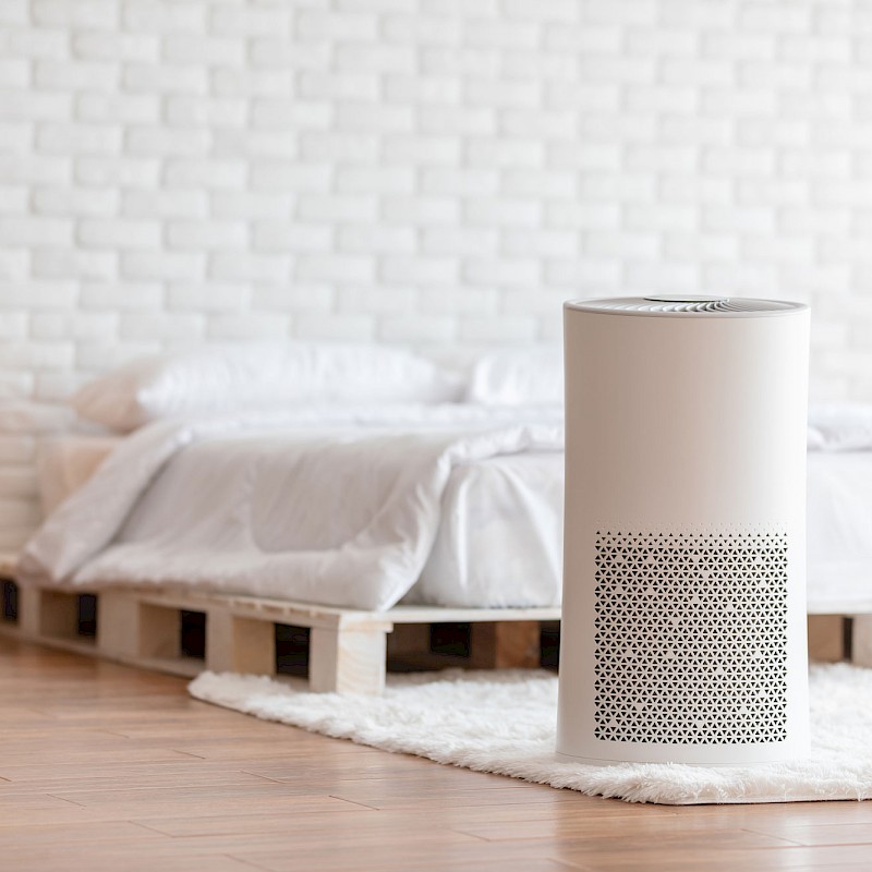 Why You Need An Air Purifier Now